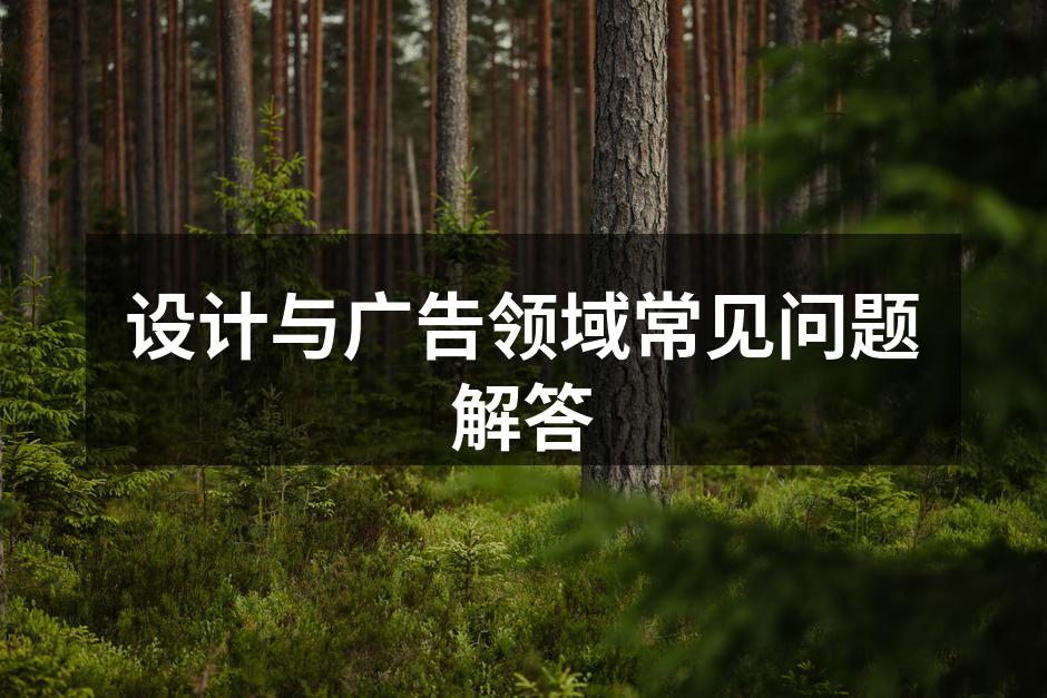 专业设计工作室的创作现场